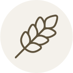 espiga circulo