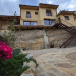 Vista frontal flores